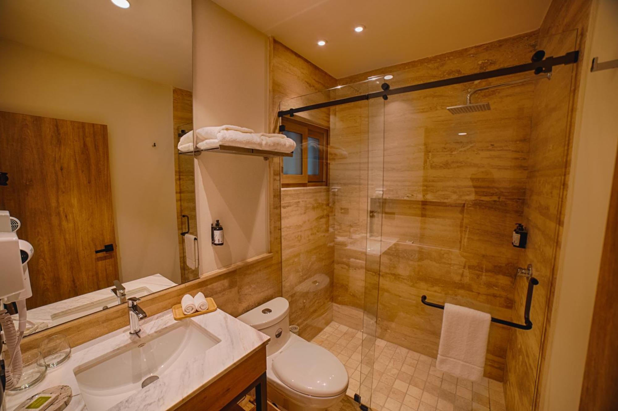 Hotel Casa Aranzazu San Luis Potosí Екстериор снимка