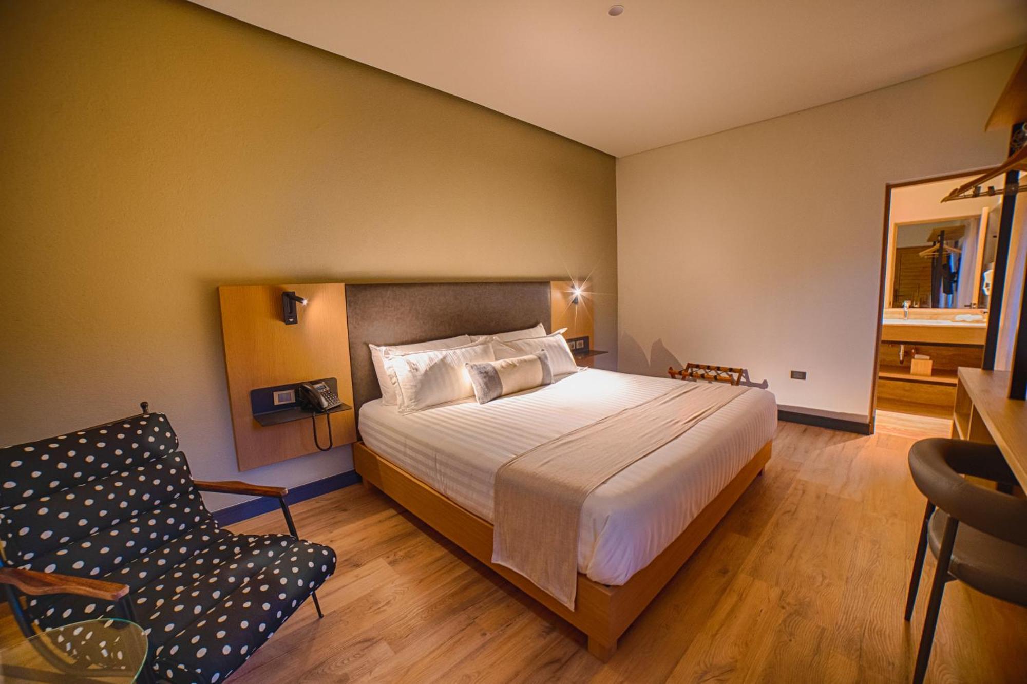 Hotel Casa Aranzazu San Luis Potosí Екстериор снимка